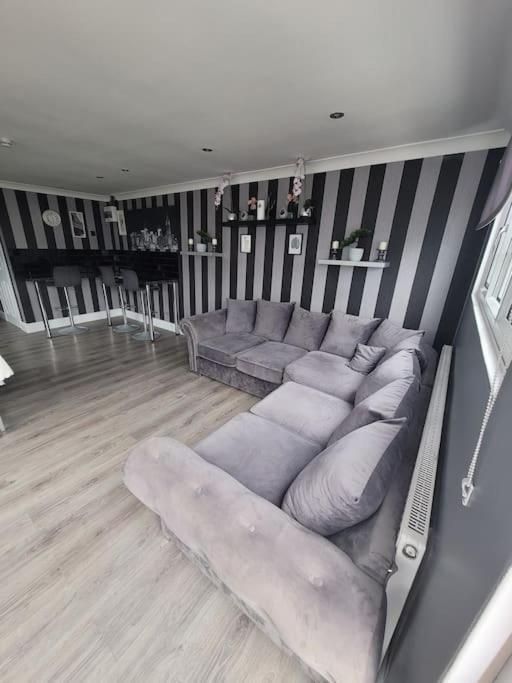 Apartment Sanity Sanctuary